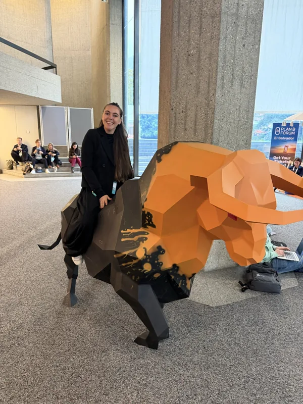 Bitcoin bull installation at Plan B